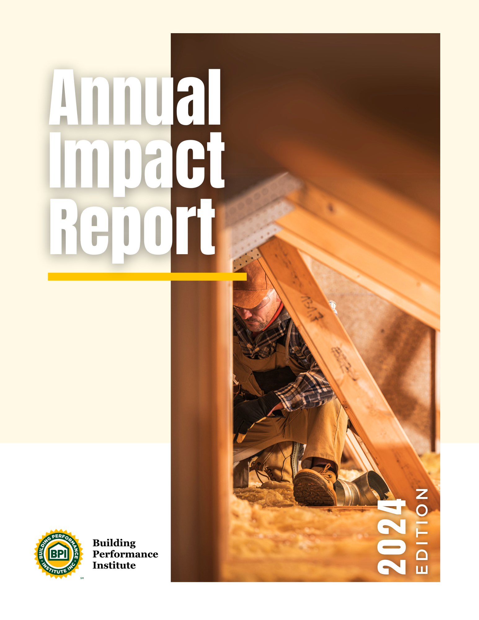 bpi-2024-annual-report.png